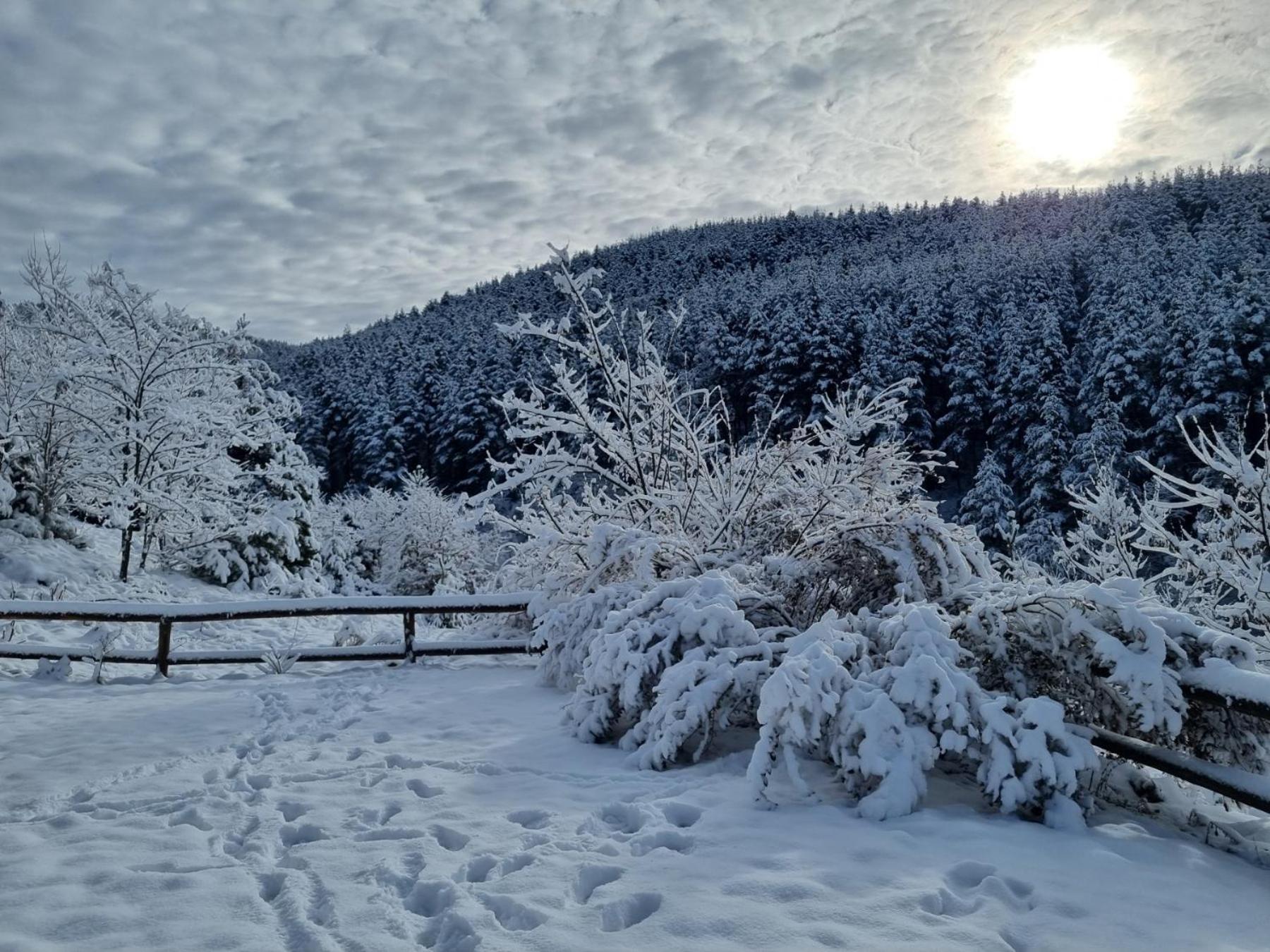 Панорама Хаус Лещен И Еко Къщи Дървена И Землянка Dış mekan fotoğraf