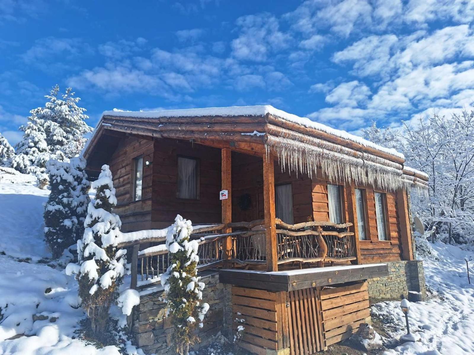 Панорама Хаус Лещен И Еко Къщи Дървена И Землянка Dış mekan fotoğraf