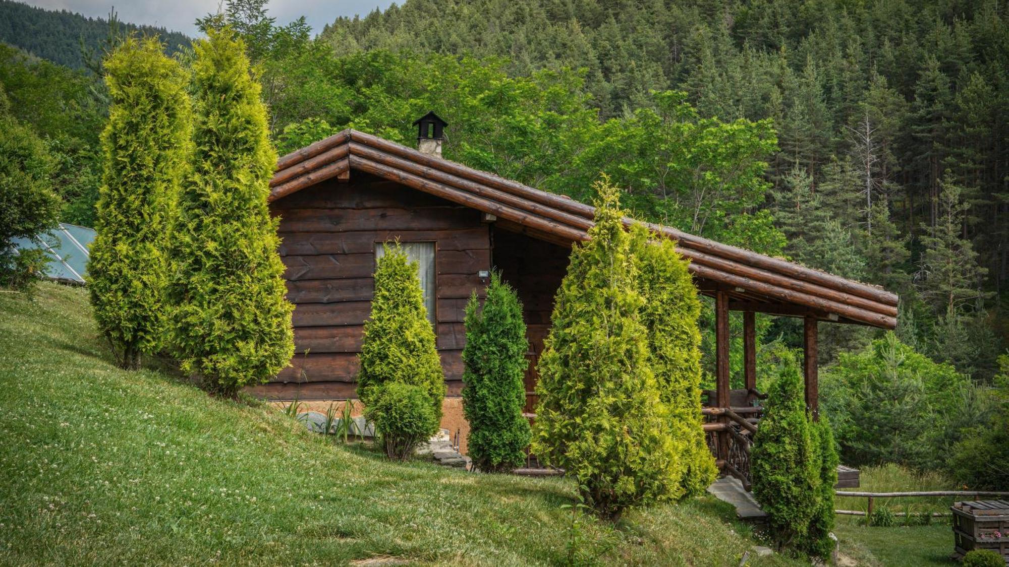 Панорама Хаус Лещен И Еко Къщи Дървена И Землянка Dış mekan fotoğraf