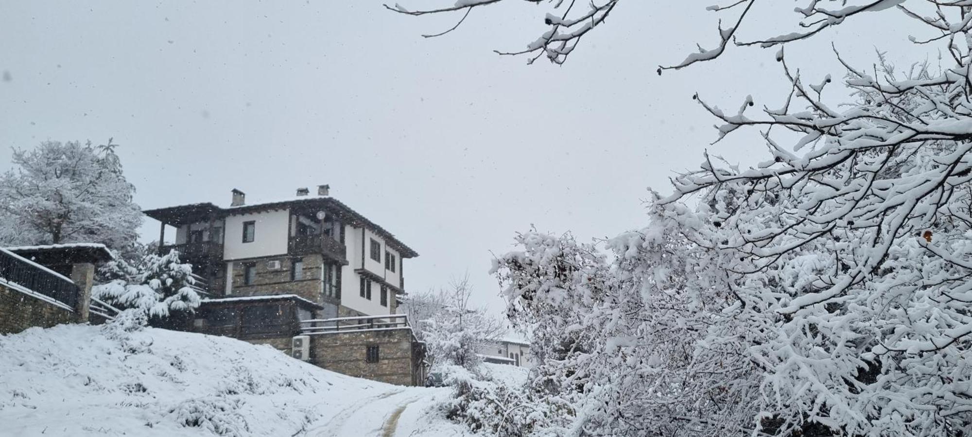Панорама Хаус Лещен И Еко Къщи Дървена И Землянка Dış mekan fotoğraf